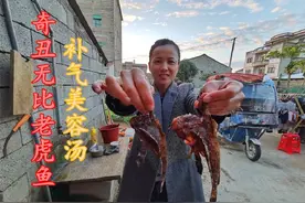 花200多买虎鱼，砂锅炖汤给奶奶营养身体，汤汁奶白鲜美收藏了