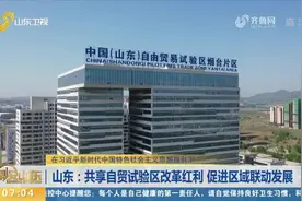 点赞！山东推动建设自贸试验区联动创新区，带动区域经济加速崛起视频封面