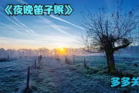 《夜晚笛子眠》擦干自己的泪水，向前走，别怨，别停。视频封面