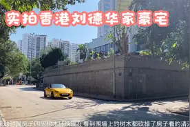 实拍香港刘德华家的豪宅，和张国荣是邻居呢，偷拍被保安发现啦！视频封面