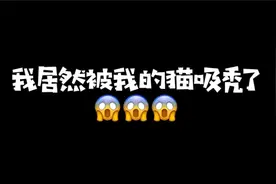 大无语事件发生！我家猫竟然把我嘬秃了视频封面
