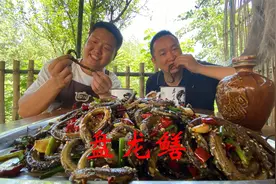 湖北特色“盘龙鳝”，不去内脏直接手撕着吃，下酒真是爽视频封面