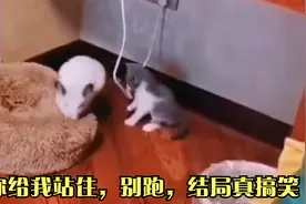 你给我站住，别跑，结局真搞笑视频封面