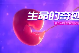 2022 生命的奇迹，胎儿40周形成的全过程，献给天下所有的妈妈！视频封面