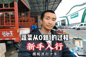 新手入行蔬菜批发从0到1的过程视频封面
