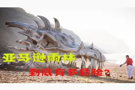 动物的天堂却是人类禁区，亚马逊雨林里面有什么，为何如此可怕？视频封面