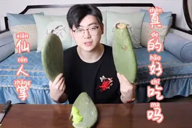 网上说仙人掌吃起来像黄瓜，到底是个什么味道呢视频封面