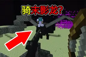 我的世界：MC新手冷知识，这样的MC你见过吗？骑末影龙！视频封面