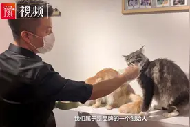韩国男团出道回国开猫咖，河南小哥把爱好变事业：时代造就青年视频封面