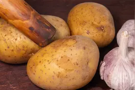 土豆里放两头大蒜，教你新吃法，不炒不炖不油炸，出锅比吃肉都香视频封面