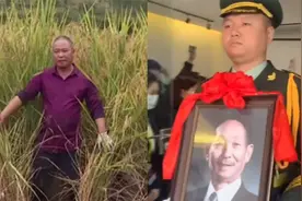 禾下乘凉梦成真！袁隆平安葬当天，参与研发的巨型稻已长到2米高视频封面