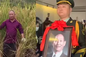 禾下乘凉梦成真！袁隆平安葬当天，参与研发的巨型稻已长到2米高视频封面