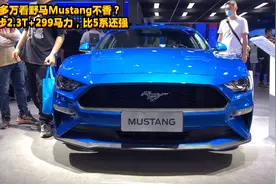 30多万看野马Mustang不香？起步2.3T+299马力，比5系还强视频封面