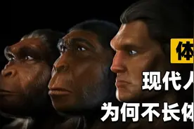 为何原始人类会褪去体毛？却留下了头发、腋毛和阴毛，有什么用？视频封面