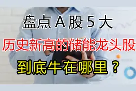 细数A股5大储能概念龙头股！走牛的底气在哪里？视频封面