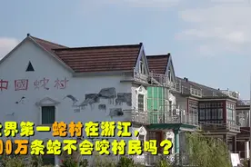 世界第一蛇村在浙江，300万条蛇随意行动，难道不会咬村民吗？视频封面