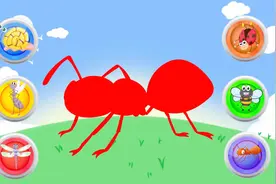 认识蚂蚁等6种可爱的小昆虫视频封面