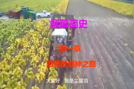 烟草简史-烟草的成神之路视频封面
