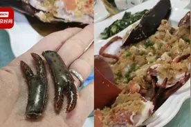女子买活龙虾加工前悄悄掰掉两条腿 上菜后发现掉包立马找老板