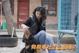 狗狗呕吐的是怎么回事？不想花冤枉钱就来看看这个视频吧！视频封面