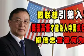 柳传志引狼入室，引老美高盛进入国内疯狂收割，他究竟意欲何为？视频封面