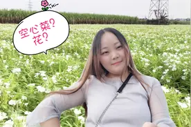 打工妹出租屋楼下种的空心菜，居然开花了，这样还能吃吗？