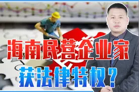 海南民营企业涉案尽量不追究，不是获法律特权，根基仍是依法办事视频封面