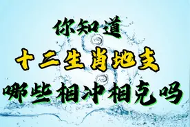 你知道十二生肖地支哪些相冲相克吗视频封面