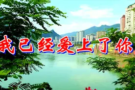 一首DJ情歌《我已经爱上了你》歌声优美，动听旋律，超级好听！视频封面