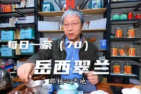 每日一茶（70）：岳西翠兰视频封面
