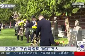 南京：清明代祭墓穴达37万穴，“宁思念”平台网络祭扫超百万人视频封面