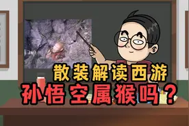 散装解读西游，孙悟空属猴吗？视频封面