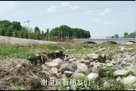 偷得半日闲   走进大自然   山花正烂漫   取舍一念间视频封面