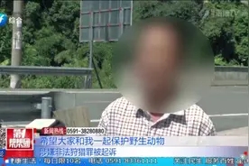 永泰：野猪破坏红薯地 男子设夹狩猎被起诉视频封面