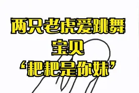 宝贝，‘耙耙是你妹’两只老虎爱跳舞，鬼畜搞笑版