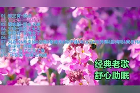 经典老歌。清风伴我黎明破晓，愿与你共饮暖酒新茶，共看细水长流视频封面