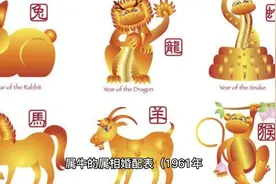 十二生肖婚姻配对大全 牛 (1)视频封面