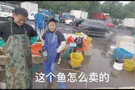 常州市面上蔬菜突然大幅涨价，凌家塘农贸批发市场看看，吃了一惊视频封面