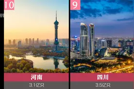 野榜：知道哪个省份每年用的避孕套最多吗，你贡献了多少呢