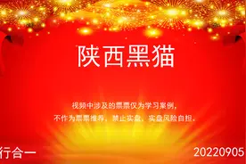 陕西黑猫20220905视频封面