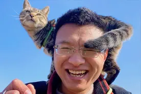 狸花猫外出踏青，见到2亩地的猫草，直接放飞自我视频封面