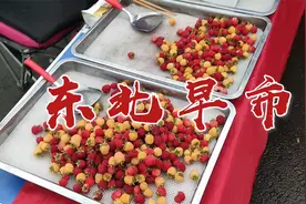 黑龙江省伊春市，5线垫底的小城市，早市却很丰富，环境宜居视频封面