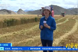 西藏：青稞进入大面积收割阶段，平均亩产超700斤|第一时间视频封面