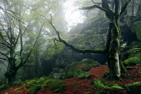 君志所向，一往无前，愈挫愈勇，再接再厉。视频封面