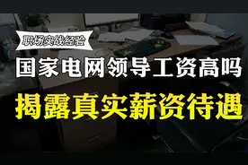 国家电网的中层领导年薪多少？收入曝光，你还羡慕吗？视频封面