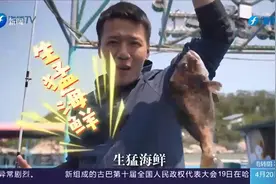 如何玩转东山？带您体验当地渔民生活，做一回真正的赶海人视频封面