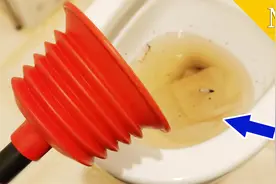 马桶堵塞了难疏通，原来皮搋子被你一直用错了，这样做1分钟疏通视频封面