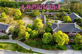 详细介绍大亚湾最好的公园，红树林湿地公园，航拍，游玩攻略指南视频封面