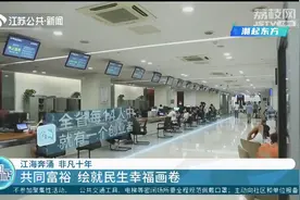 江海奔涌，非凡十年，共同富裕，绘就民生幸福画卷视频封面