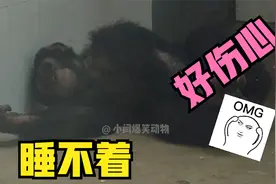 半夜不睡觉玩手机的你视频封面